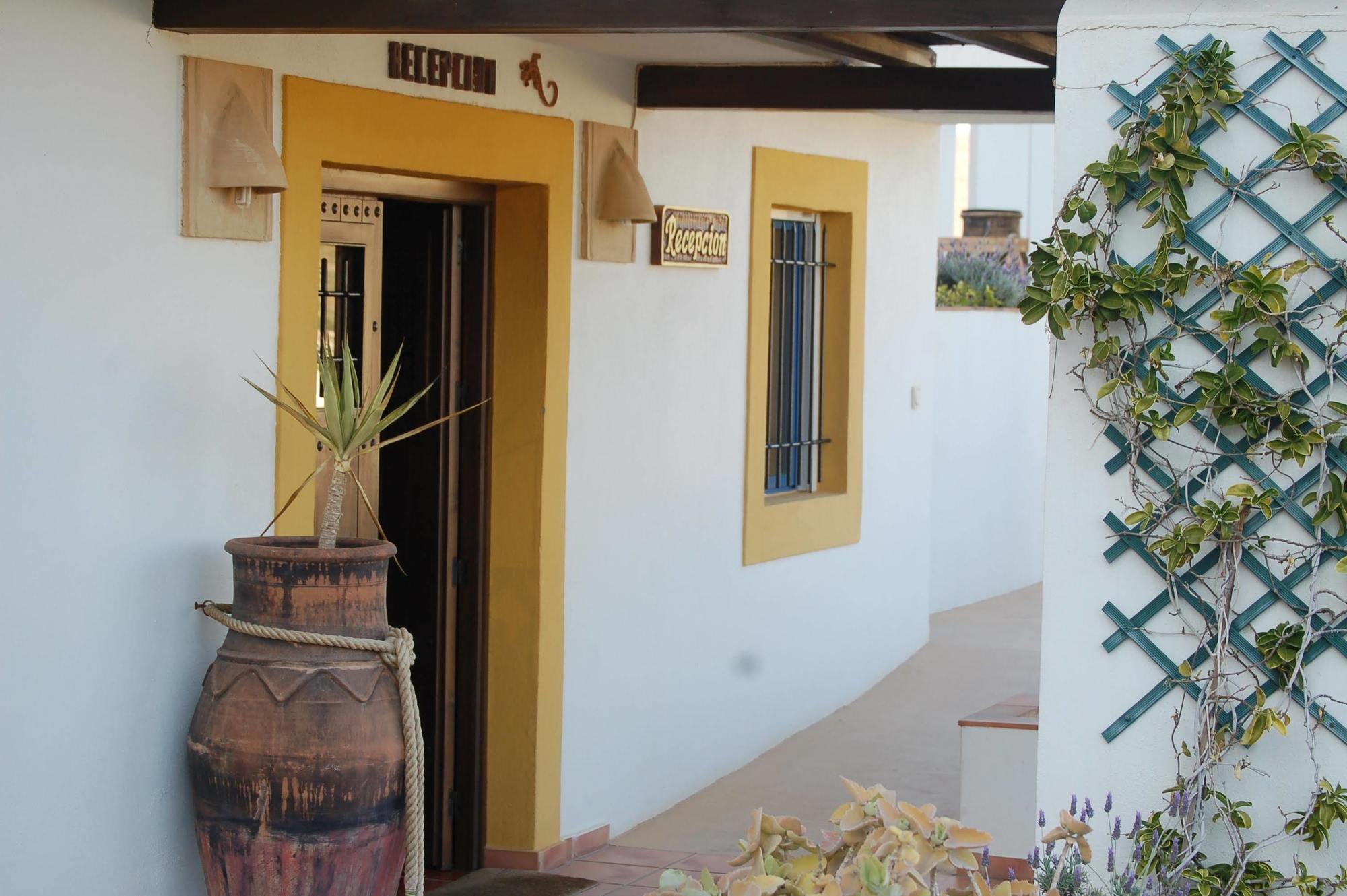Hostal El Dorado 산 호세 외부 사진